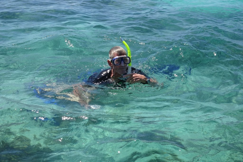 21-Snorkelling at Michaelmas Cay, Great Barrier Reef.jpg -                                